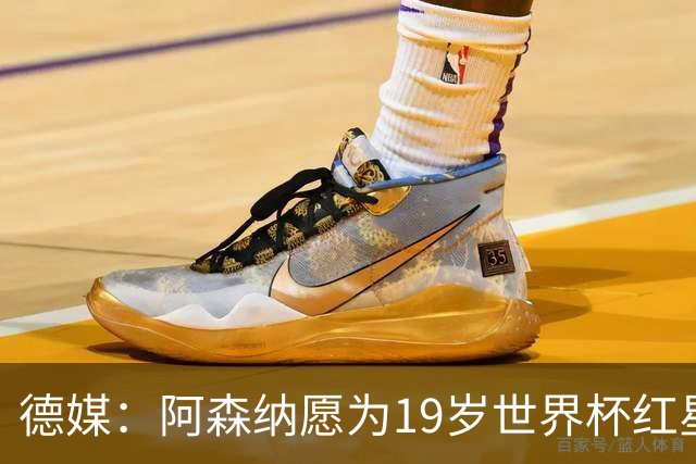 德媒：阿森纳愿为19岁世界杯红星砸重金，他上赛季造23球